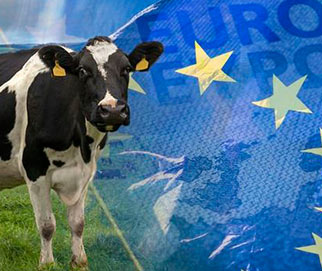 Produzione e consumo di carne nell'UE fino al 2035